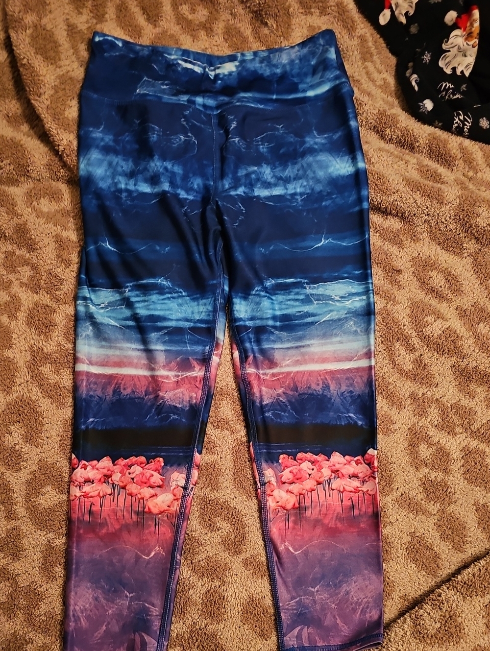 EVCR leggings/yoga pants, size medium. Would fit a small. High waisted and 3/4.